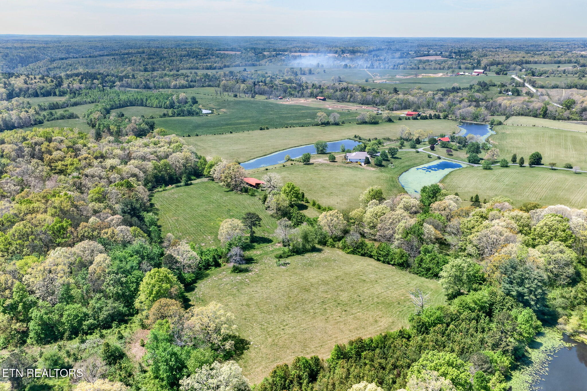 135 Austin Lane Deer Lodge, TN 37726 - Photo 45 of 60 Aerial View