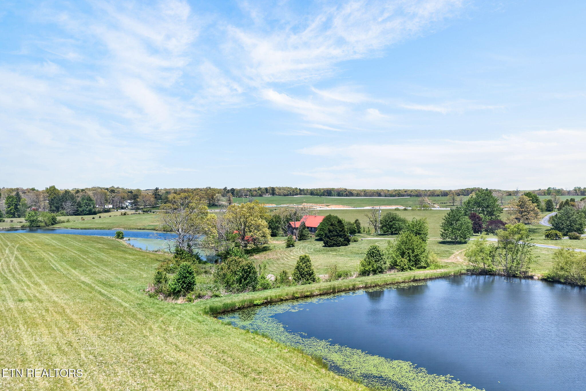 135 Austin Lane Deer Lodge, TN 37726 - Photo 48 of 60 Aerial View