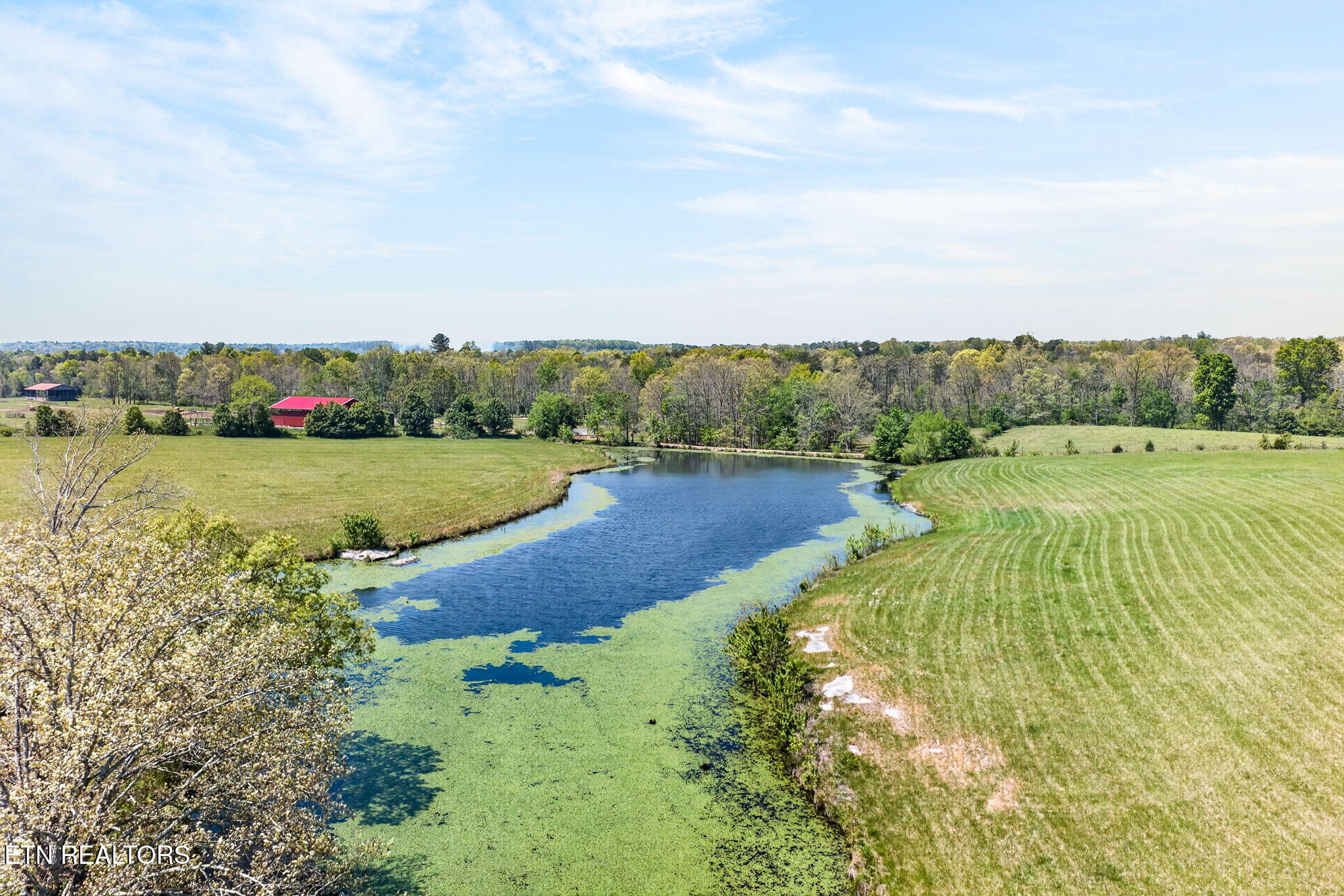 135 Austin Lane Deer Lodge, TN 37726 - Photo 49 of 60 Aerial View
