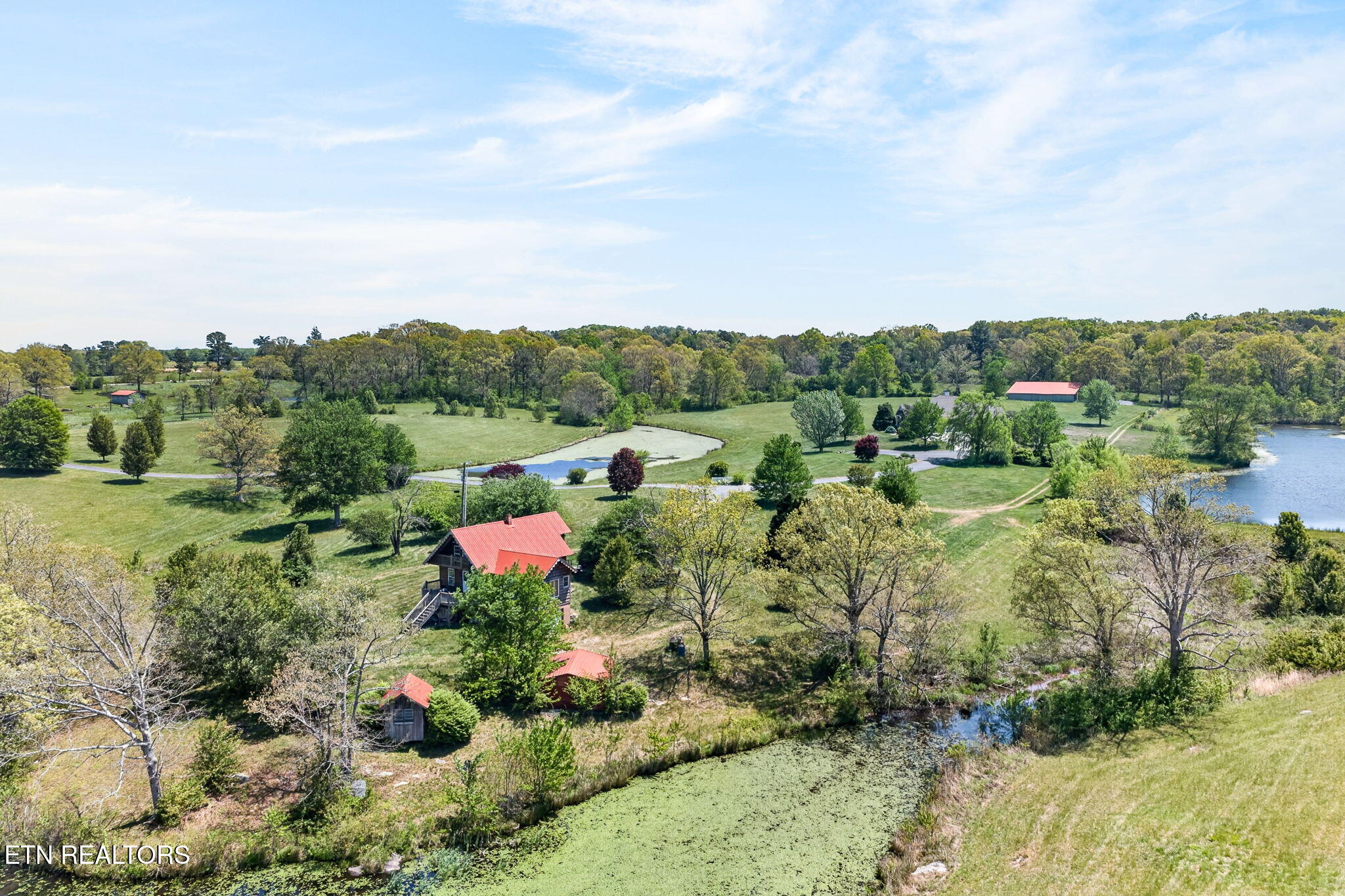 135 Austin Lane Deer Lodge, TN 37726 - Photo 50 of 60 Aerial View