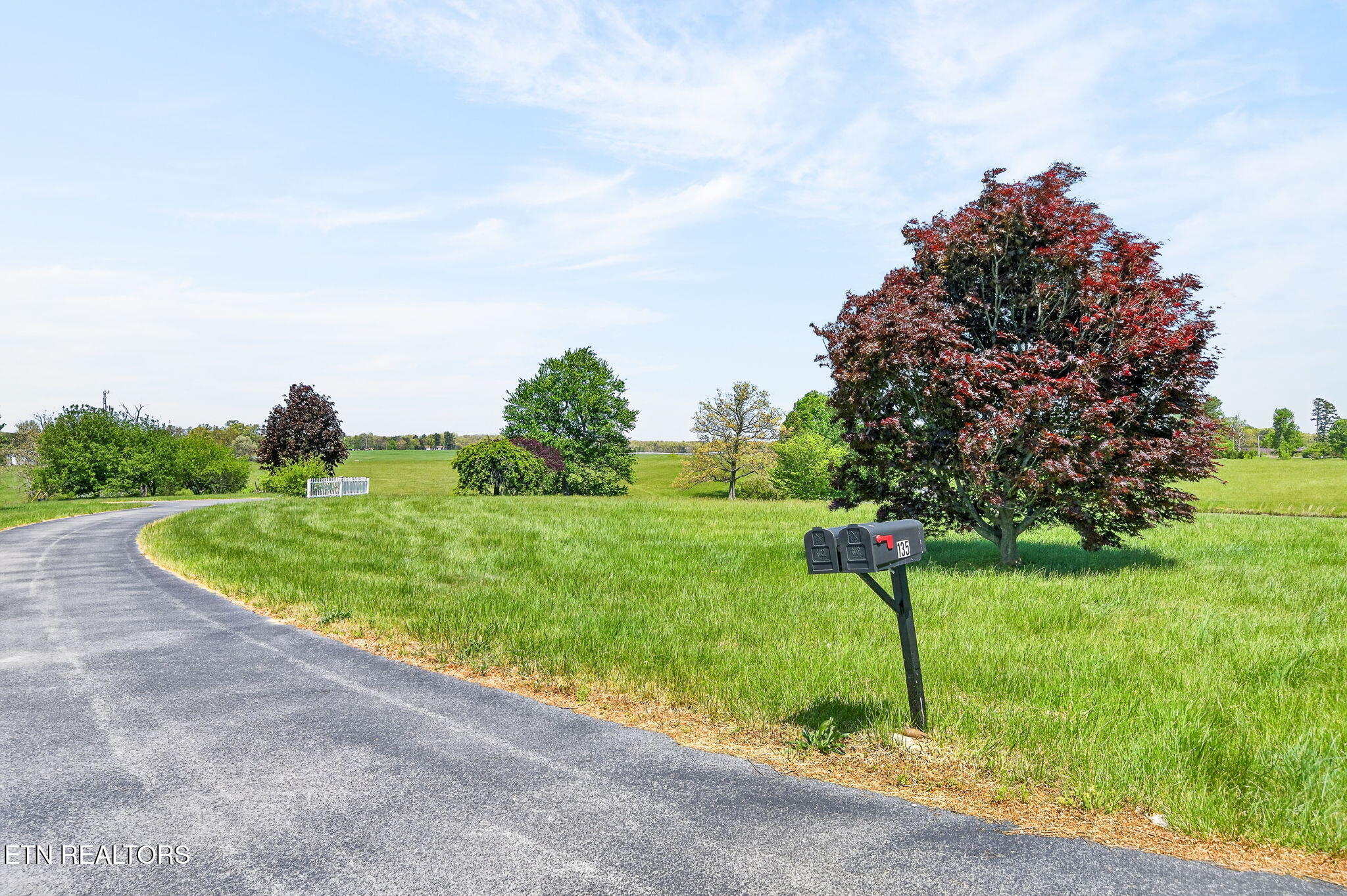 135 Austin Lane Deer Lodge, TN 37726 - Photo 51 of 60 Mailbox