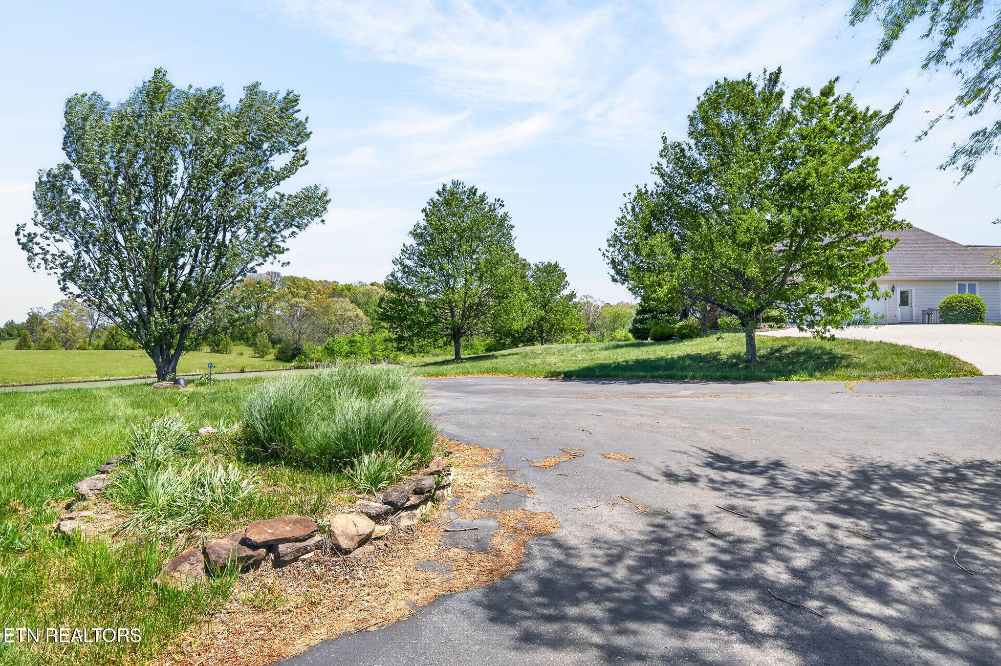 135 Austin Lane Deer Lodge, TN 37726 - Photo 52 of 60 Driveway