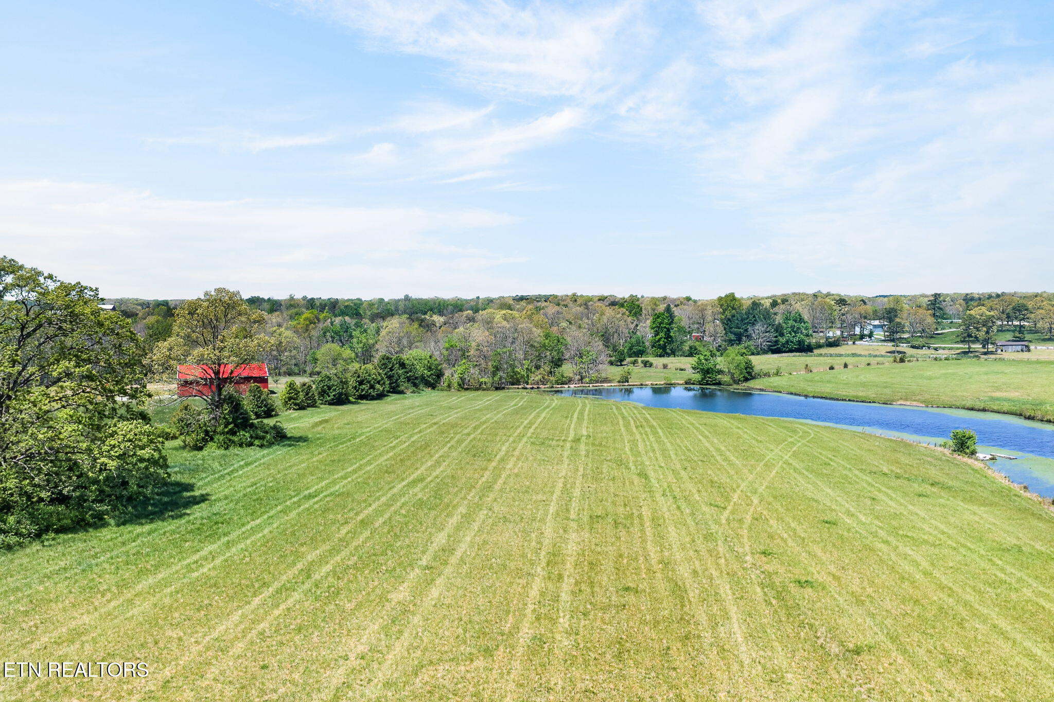 135 Austin Lane Deer Lodge, TN 37726 - Photo 58 of 60 Yard