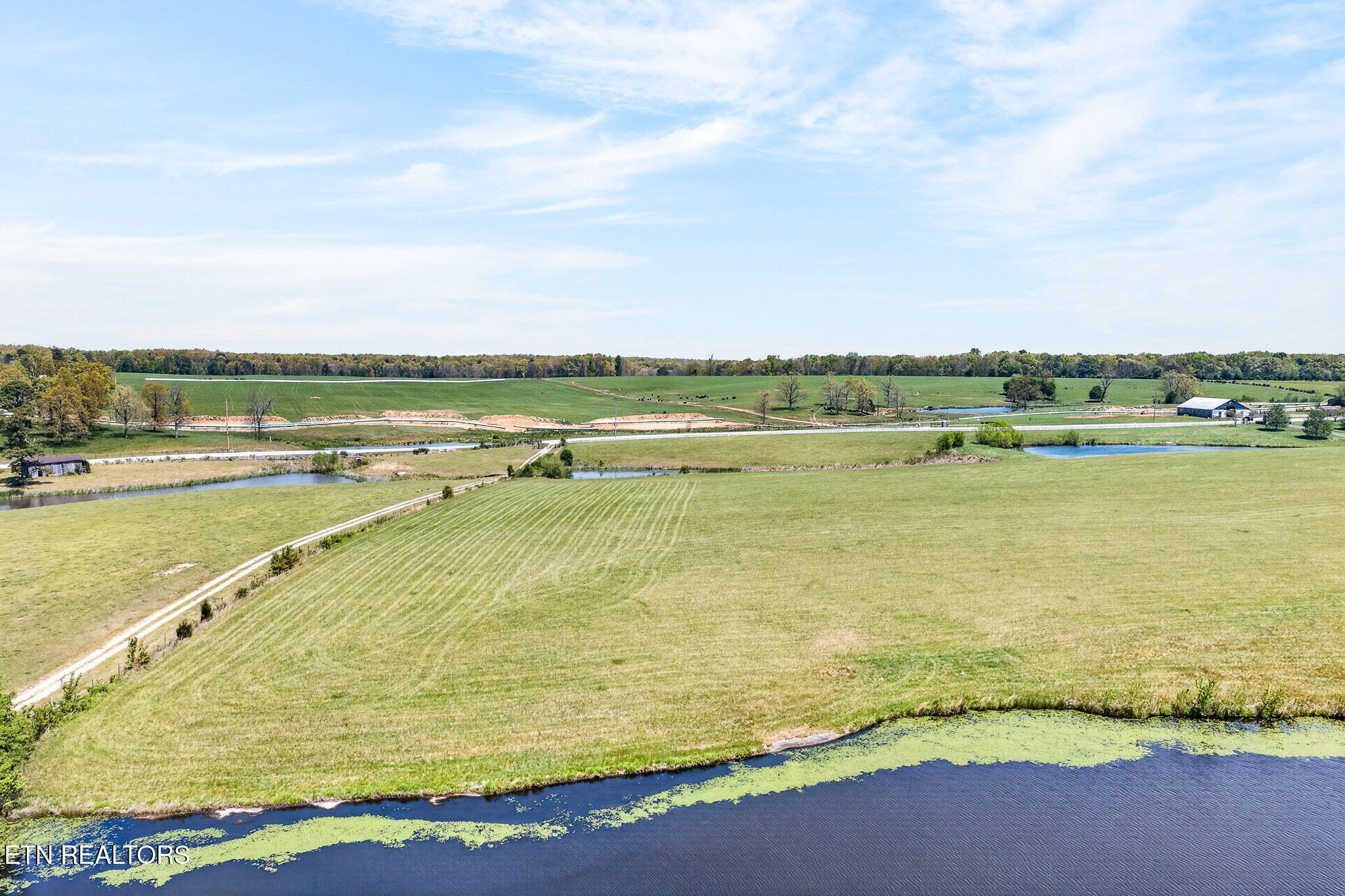 135 Austin Lane Deer Lodge, TN 37726 - Photo 60 of 60 Aerial View