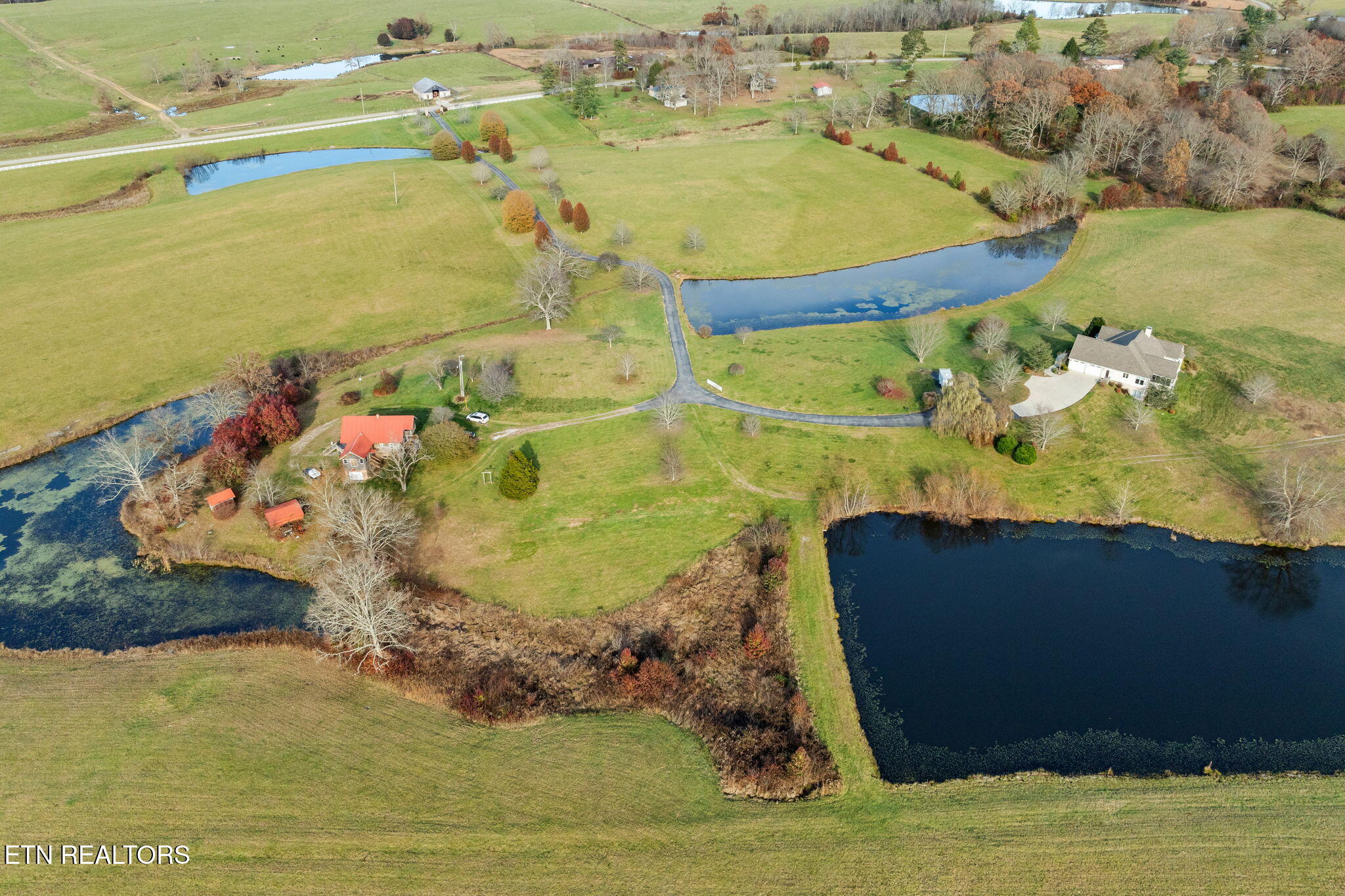 135 Austin Lane Deer Lodge, TN 37726 - Photo 7 of 57 Aerial View