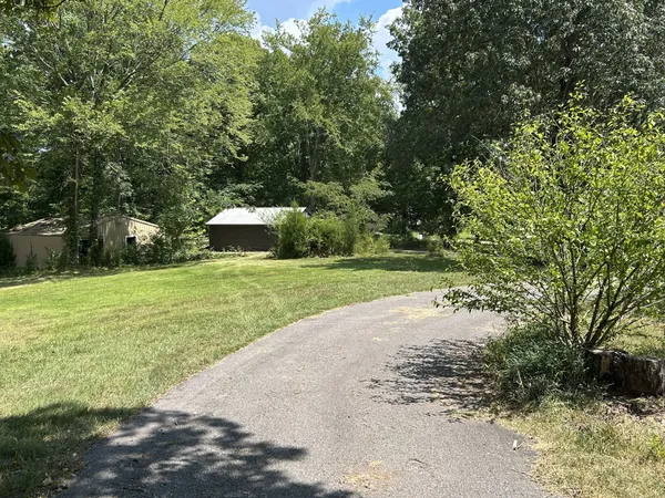 a view of a park with large trees