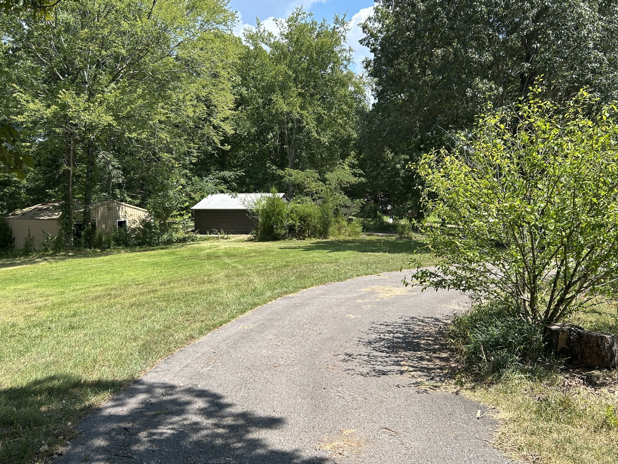 885 Sandys Camp Road Big Sandy, TN 38221 - Photo 18 of 22 a view of a park with large trees