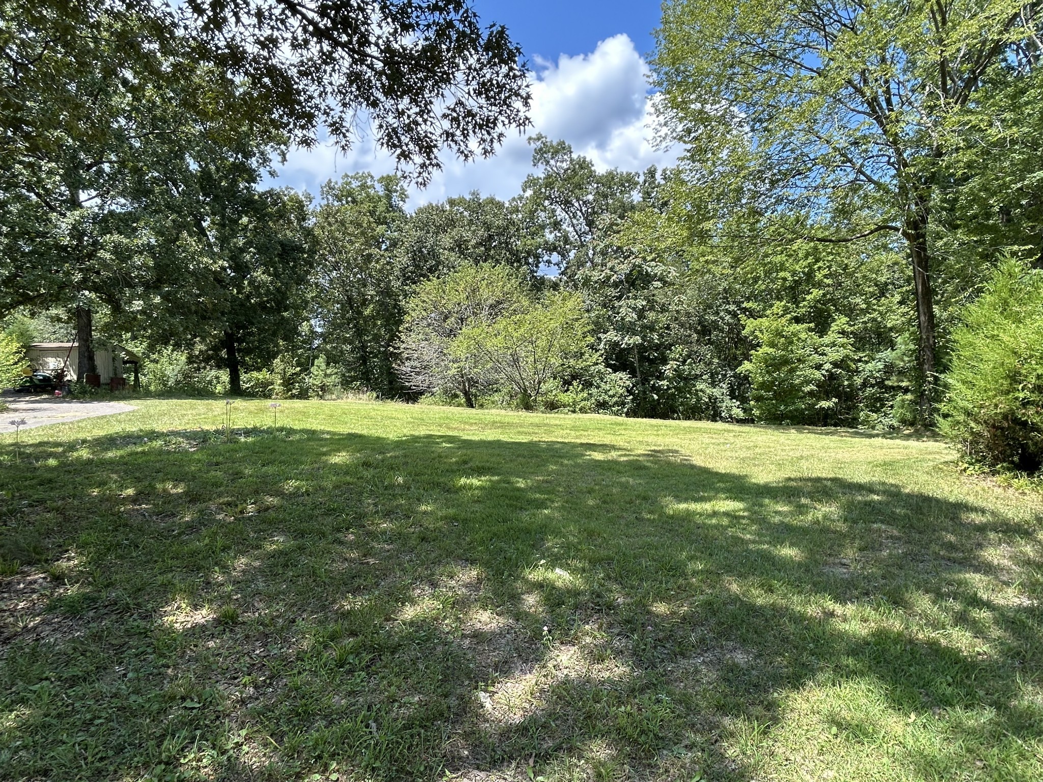 885 Sandys Camp Road Big Sandy, TN 38221 - Photo 6 of 22 a view of a field with trees in background