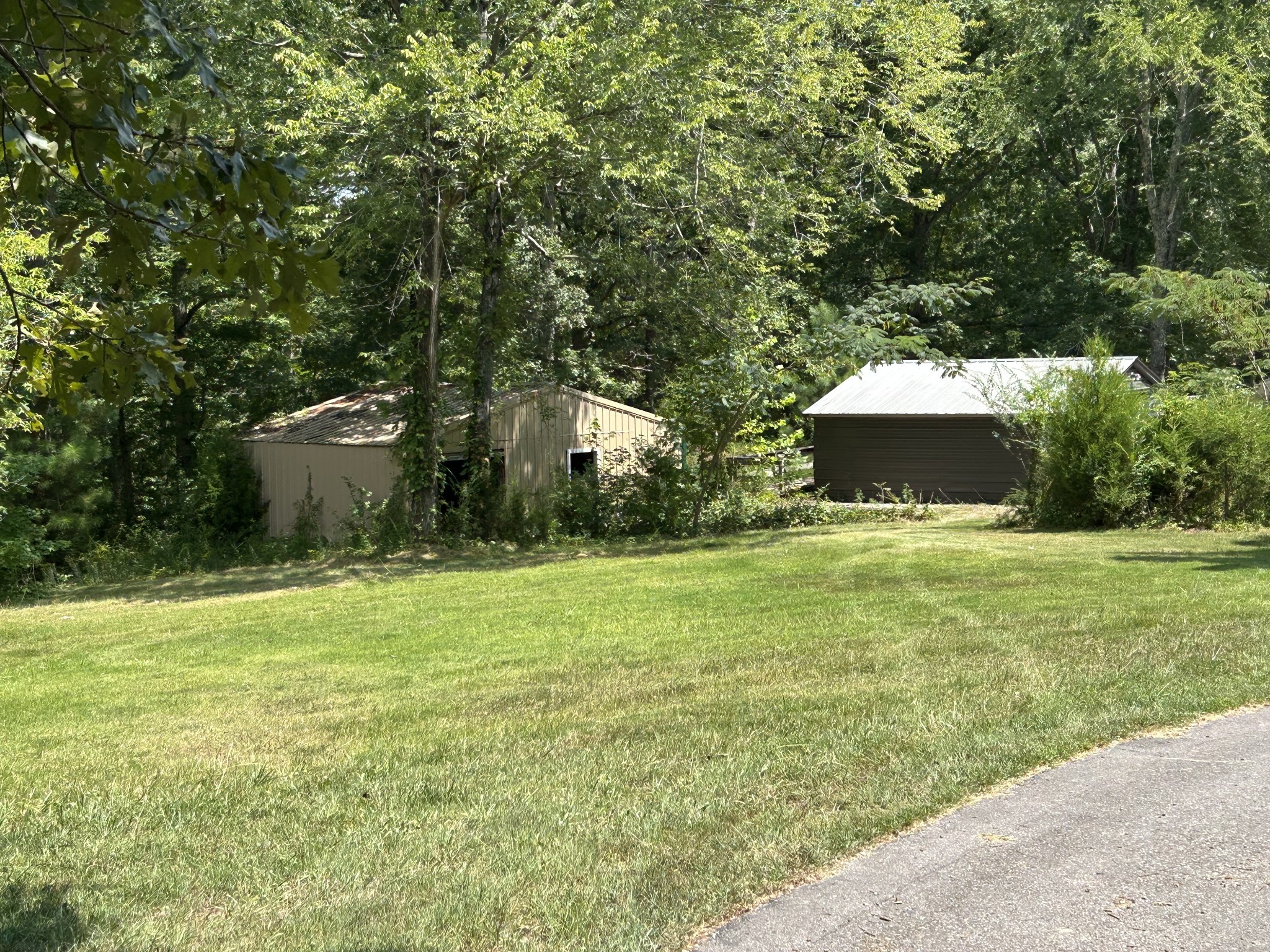 885 Sandys Camp Road Big Sandy, TN 38221 - Photo 7 of 22 a swimming pool with trees in the background
