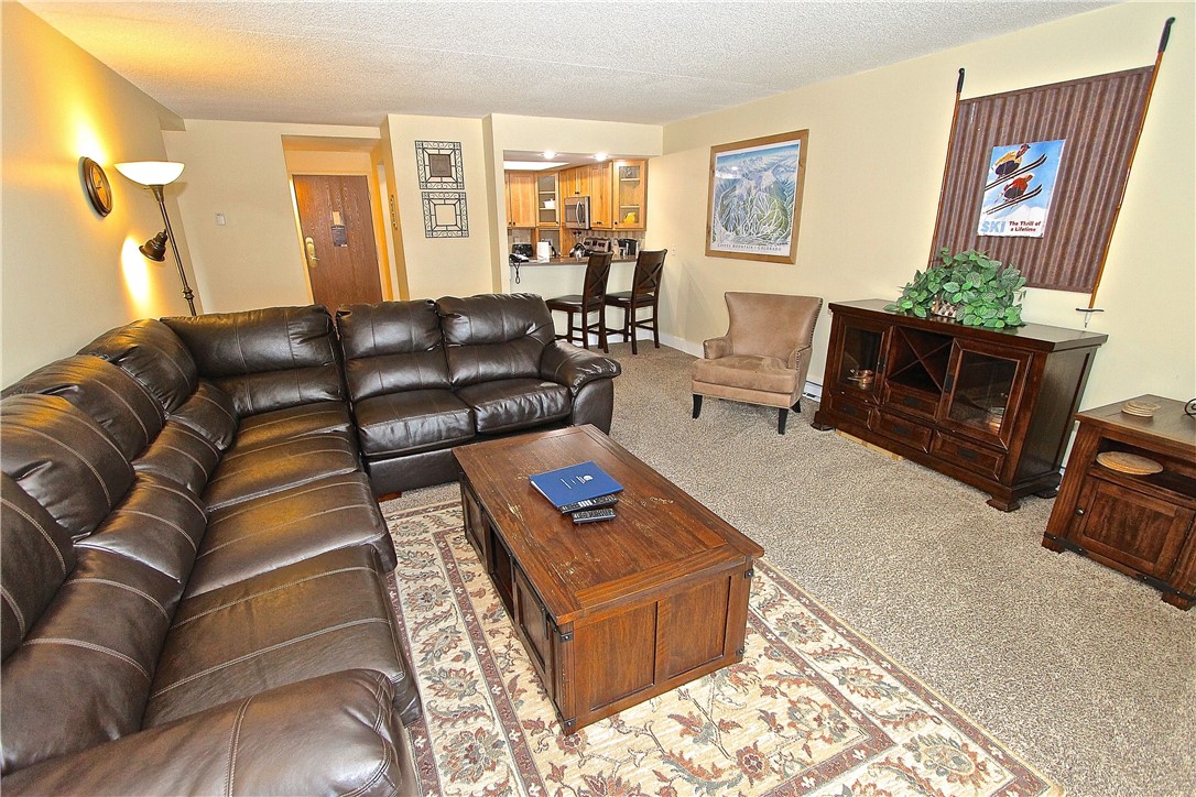 860 Copper Road, Unit 208 Frisco, CO 80443 - Photo 6 of 24 Gallery Image 6