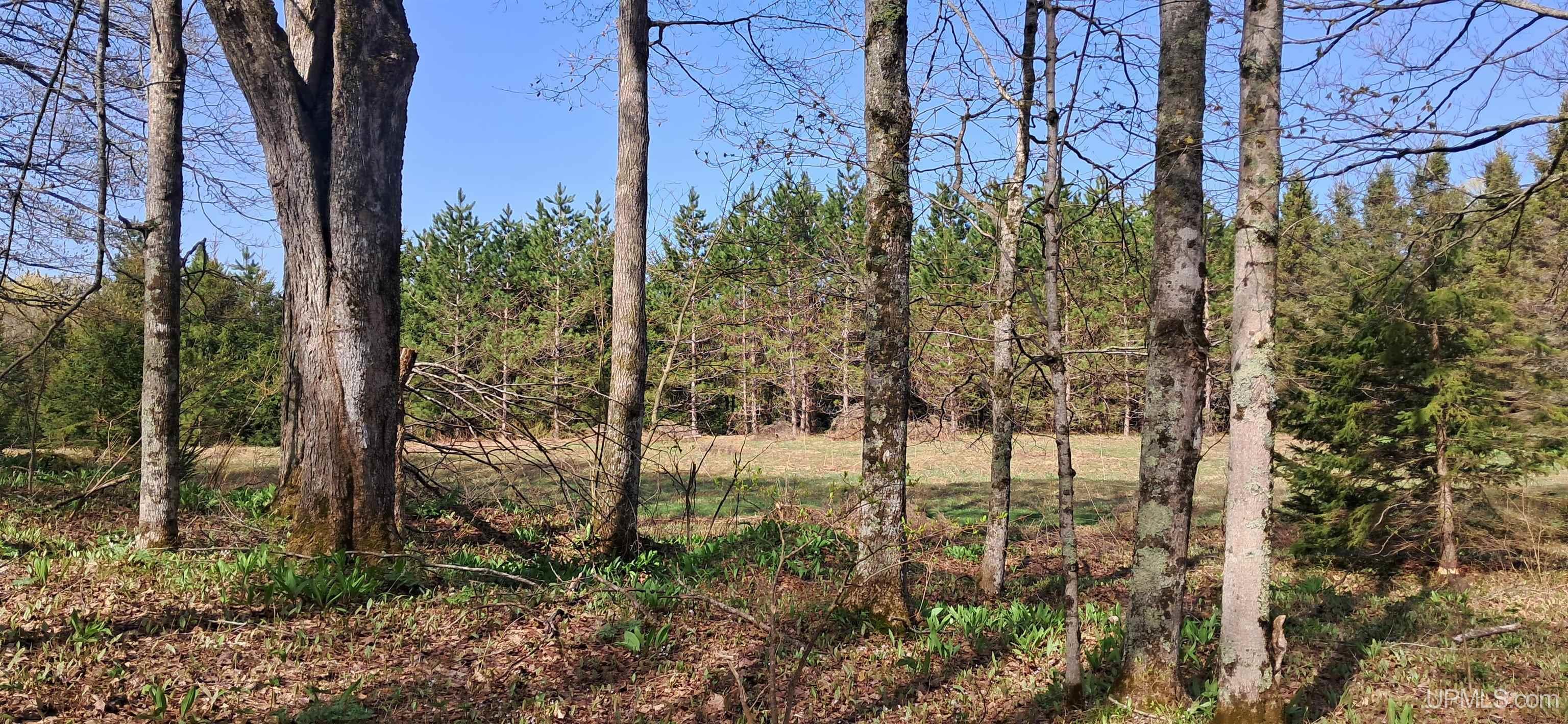 Tbd County H26 Road Rock, MI 49880 - Photo 13 of 20