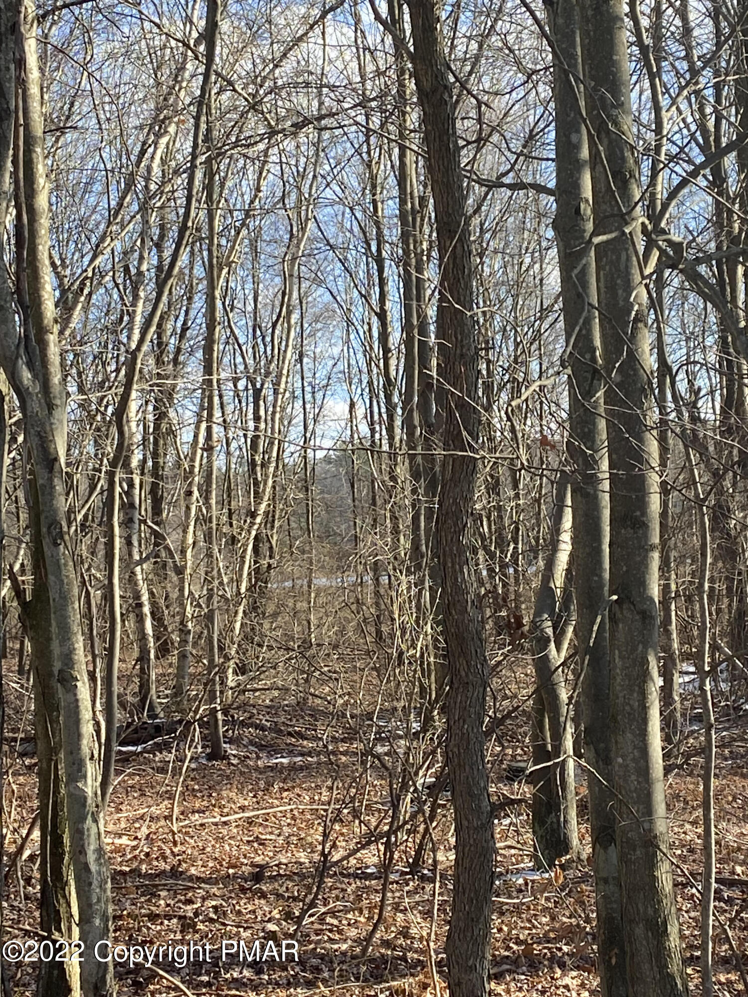 Lot 34 Lidio Road Blakeslee, PA 18610 - Photo 3 of 6 a backyard of a house with lots of green space