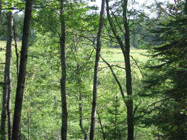 84-xx Shipley Road Alborn, MN 55702 - Photo 5 of 8 Gallery Image 5