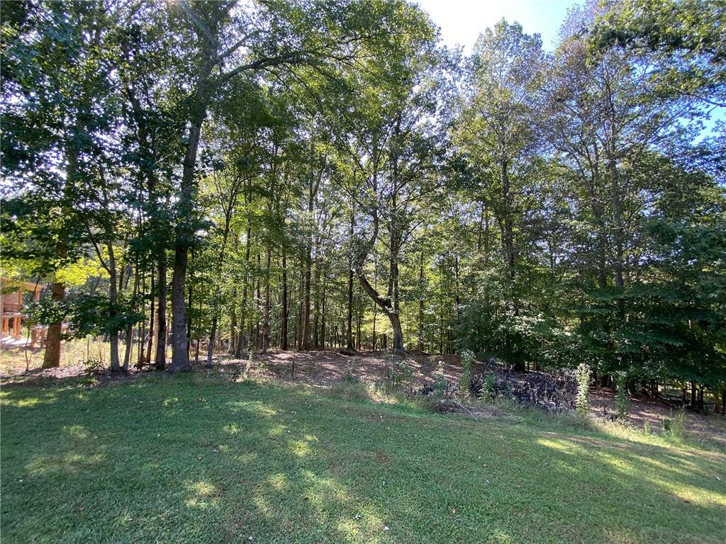 102 Forest Place Forsyth, GA 31029 - Photo 7 of 7