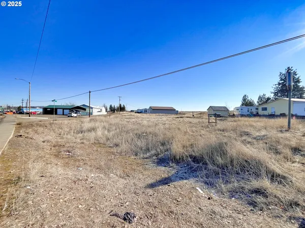 a view of a dry yard with trees