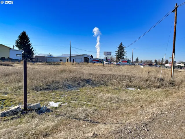 a view of a fire pit with large trees