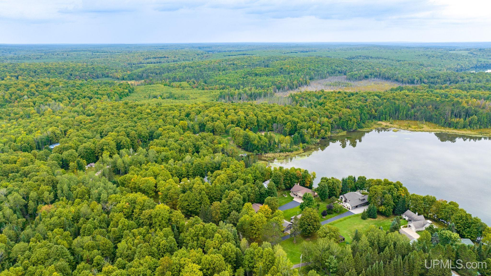 Tbd Hagerman Lake Road Iron River, MI 49935 - Photo 6 of 15