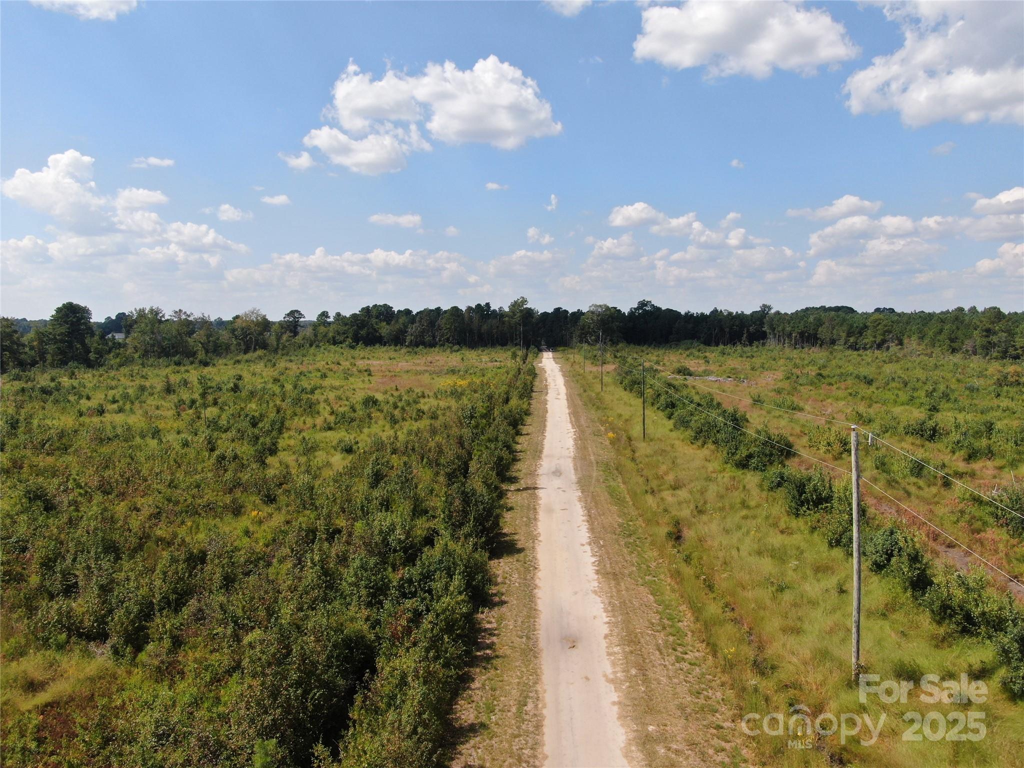 0 Porcelain Drive Maxton, NC 28364 - Photo 3 of 6 a view of lake