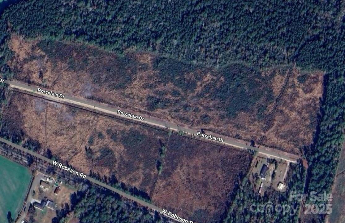 0 Porcelain Drive Maxton, NC 28364 - Photo 6 of 6 a view of a yard