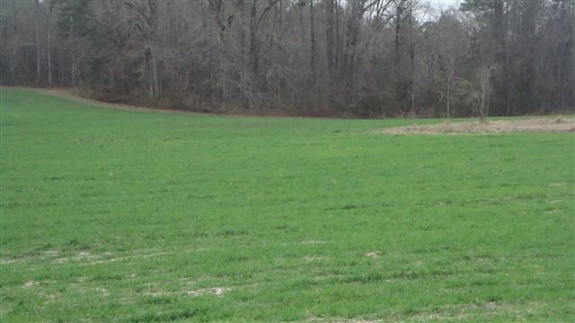 390 Gilchrist Road Carthage, NC 28327 - Photo 3 of 24 Additional Photo