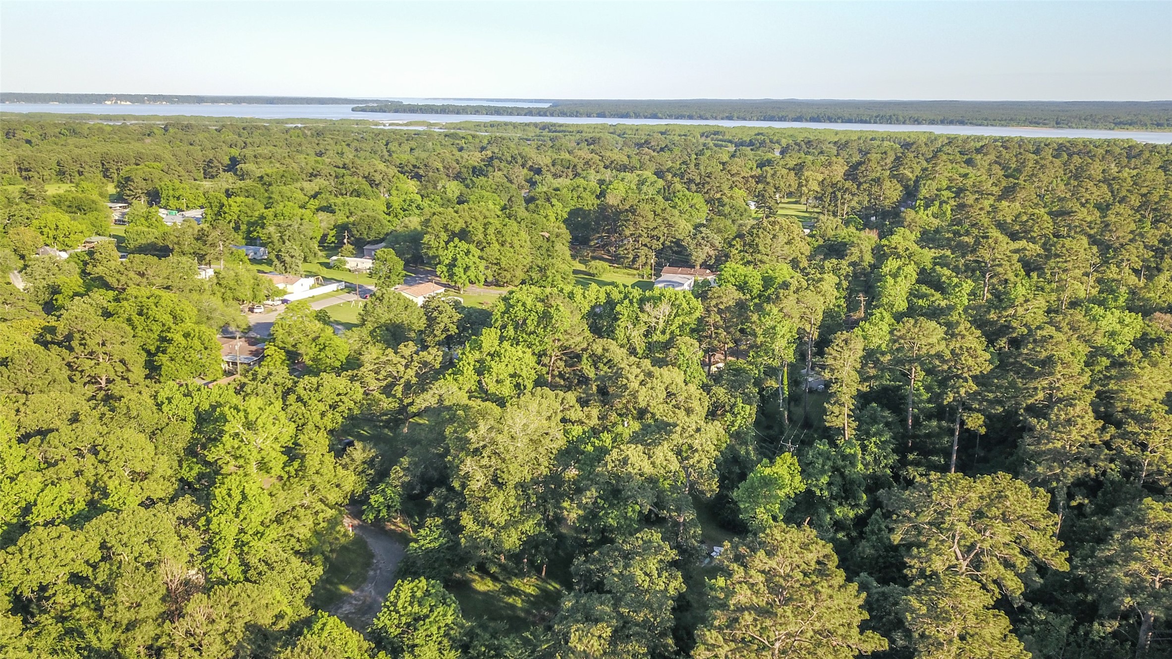 136 Ash Street Trinity, TX 75862 - Photo 9 of 14