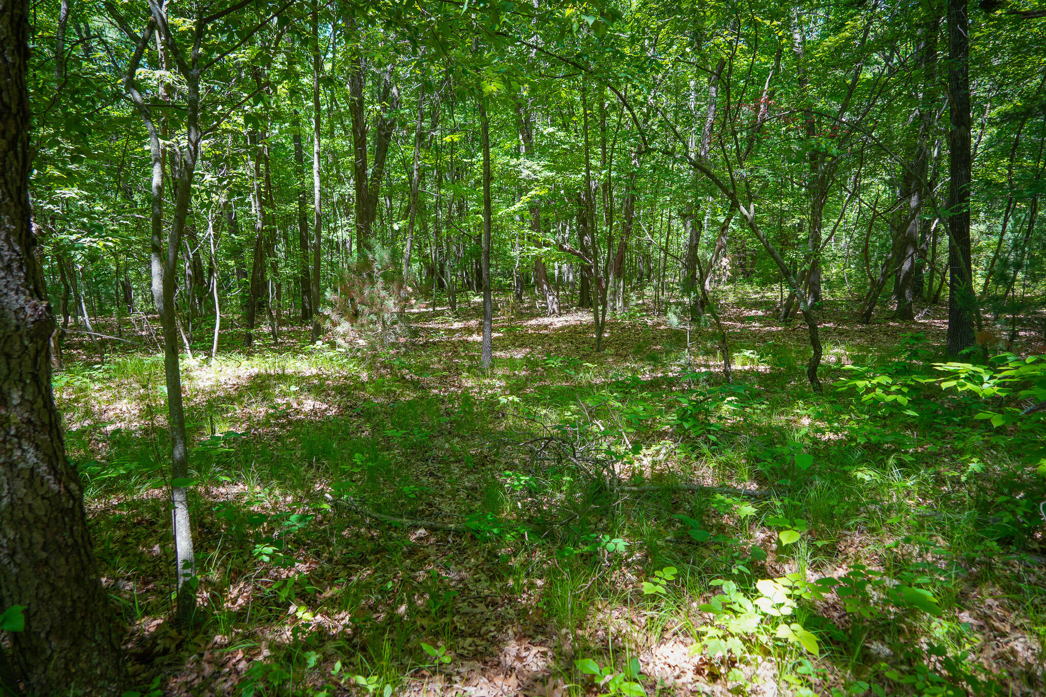 14308 Church Road Howard City, MI 49329 - Photo 25 of 52 DSC00194