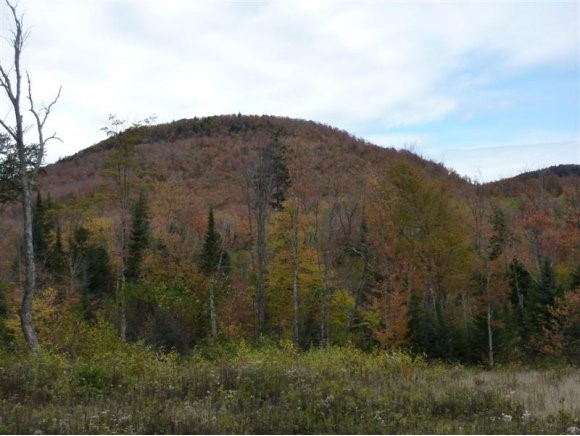 - Stannard Mountain Road Lyndonville, VT 05851 - Photo 14 of 16 Gallery Image 14