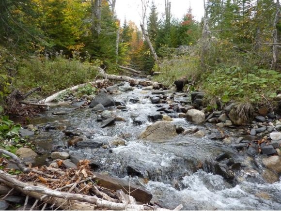 - Stannard Mountain Road Lyndonville, VT 05851 - Photo 15 of 16 Gallery Image 15
