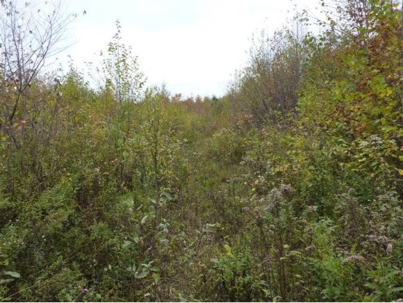 - Stannard Mountain Road Lyndonville, VT 05851 - Photo 8 of 16 Gallery Image 8