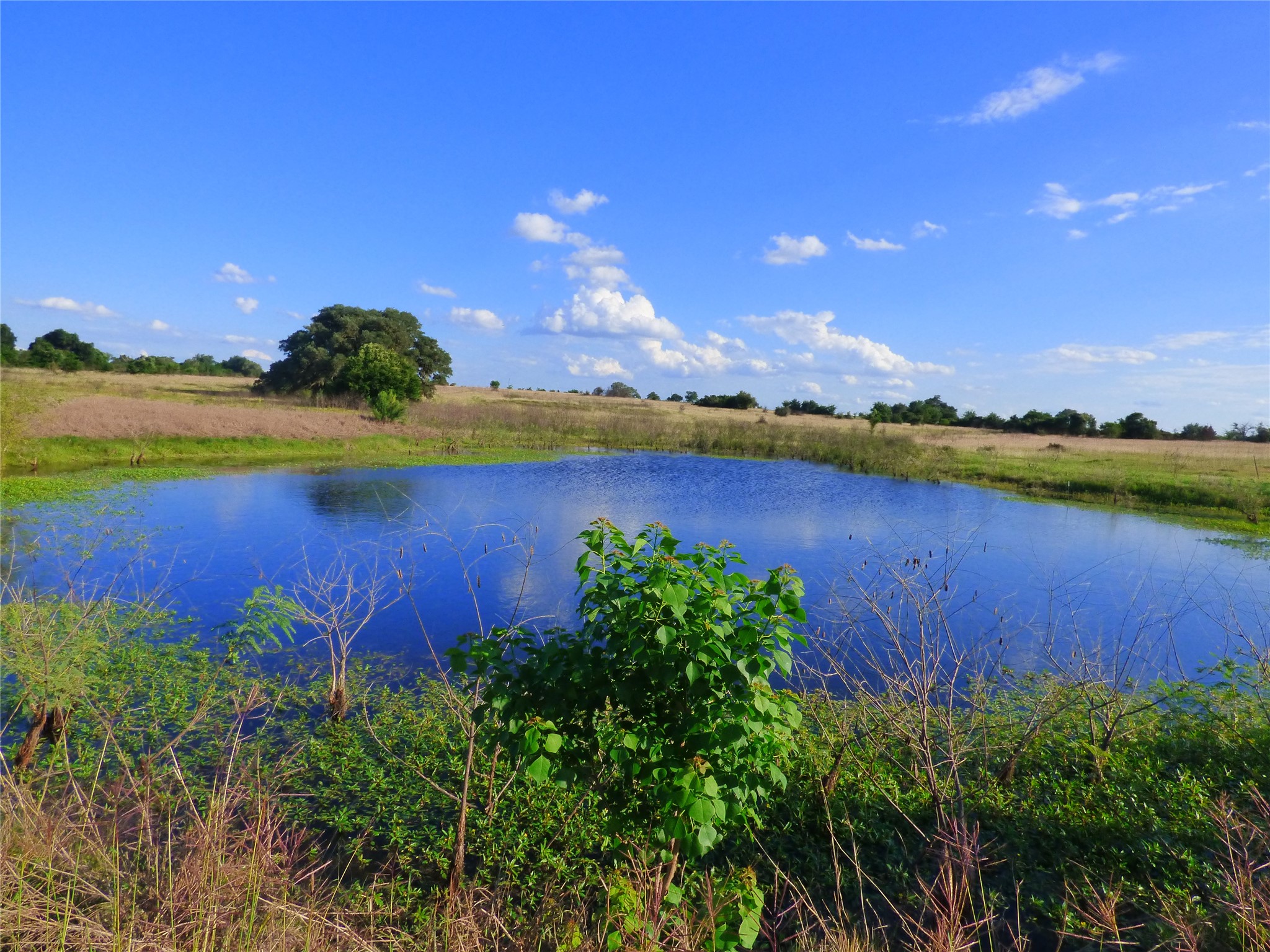 0 Kramr Road Fayetteville, TX 78940 - Photo 2 of 5 a view of a lake with houses in the back