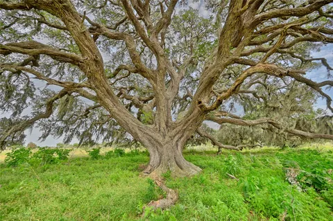 $1,500,000 | 0 Kramr Road, Fayetteville, TX 78940