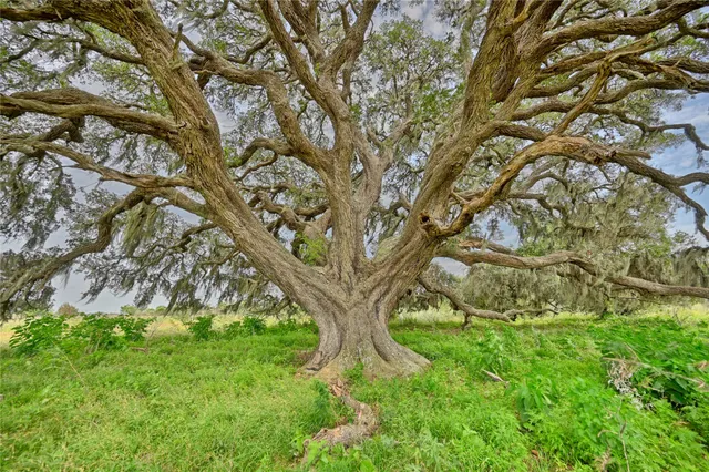 $1,349,000 | 0 Kramr Road, Fayetteville, TX 78940