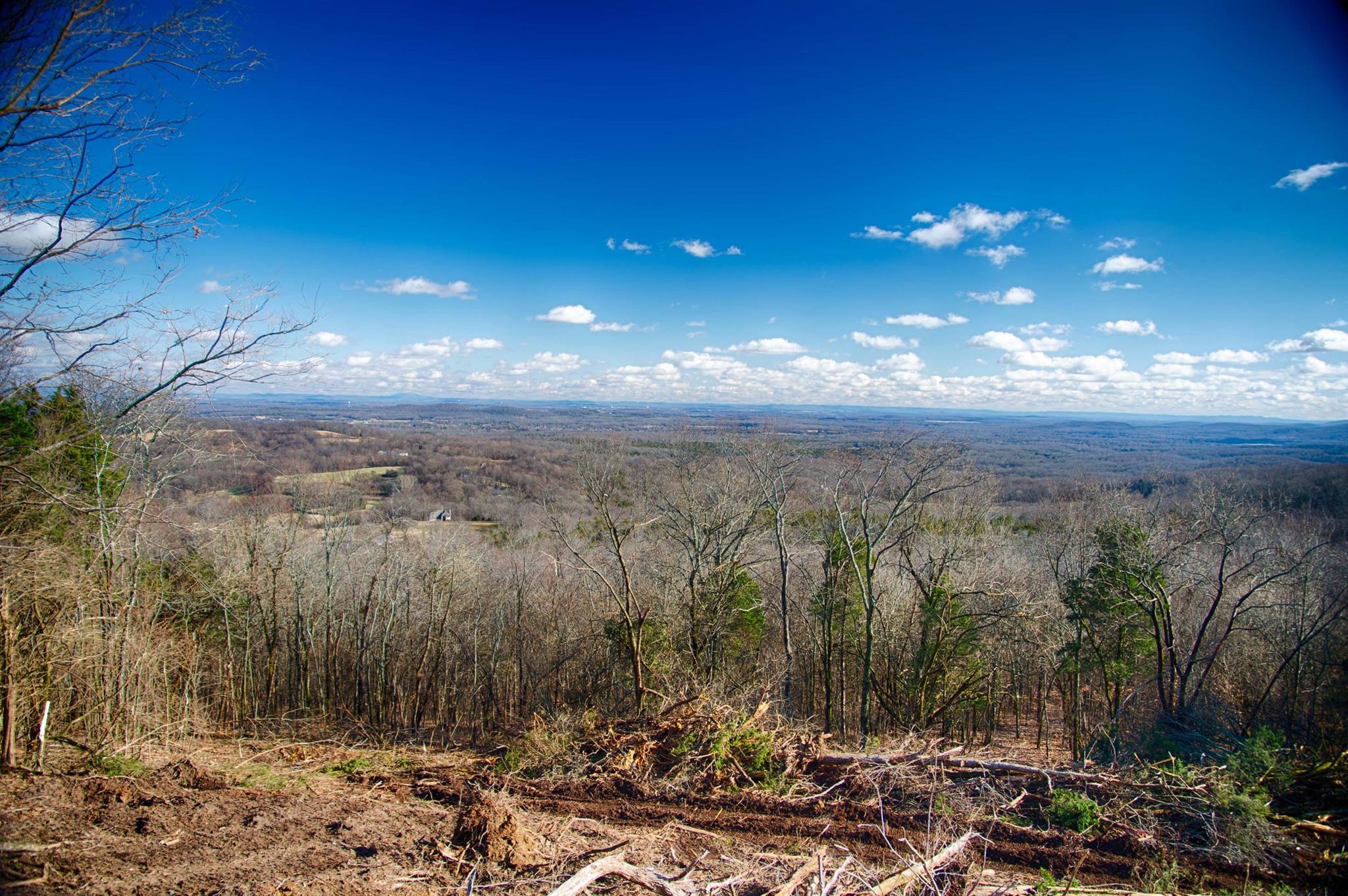 0 McCanless Road Arrington, TN 37014 - Photo 1 of 15 Gallery Image 1