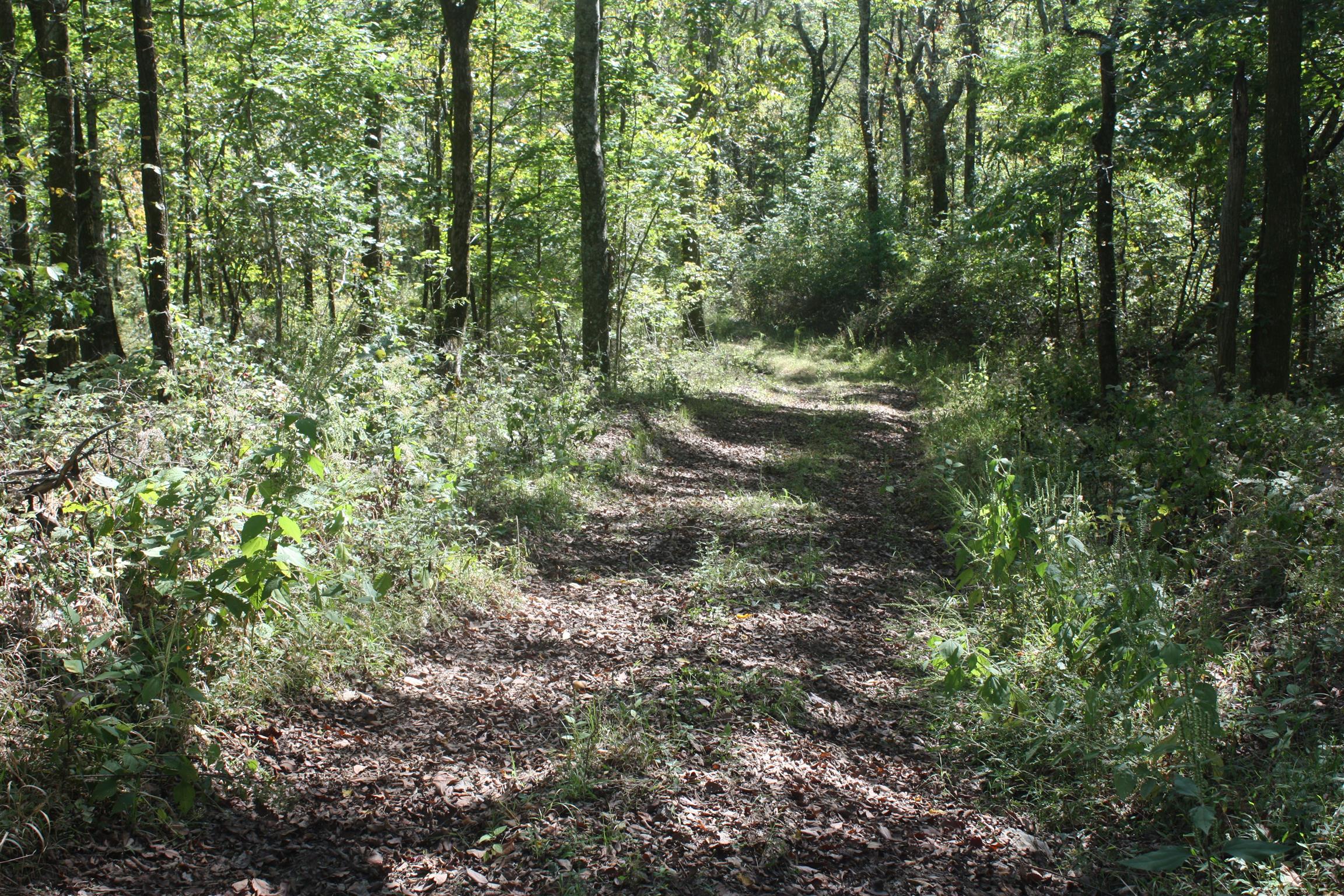 0 McCanless Road Arrington, TN 37014 - Photo 12 of 15 Gallery Image 12