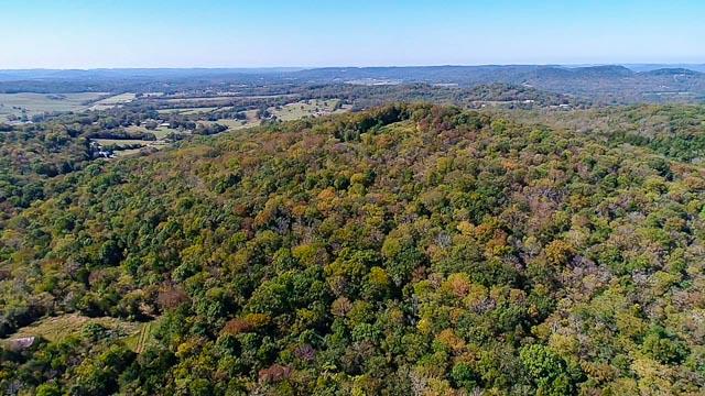 0 McCanless Road Arrington, TN 37014 - Photo 6 of 15 Gallery Image 6