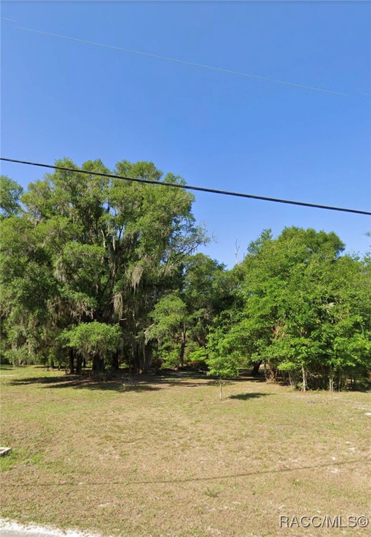 No Address No Address 201st Street Inglis, FL 34449 - Photo 4 of 9