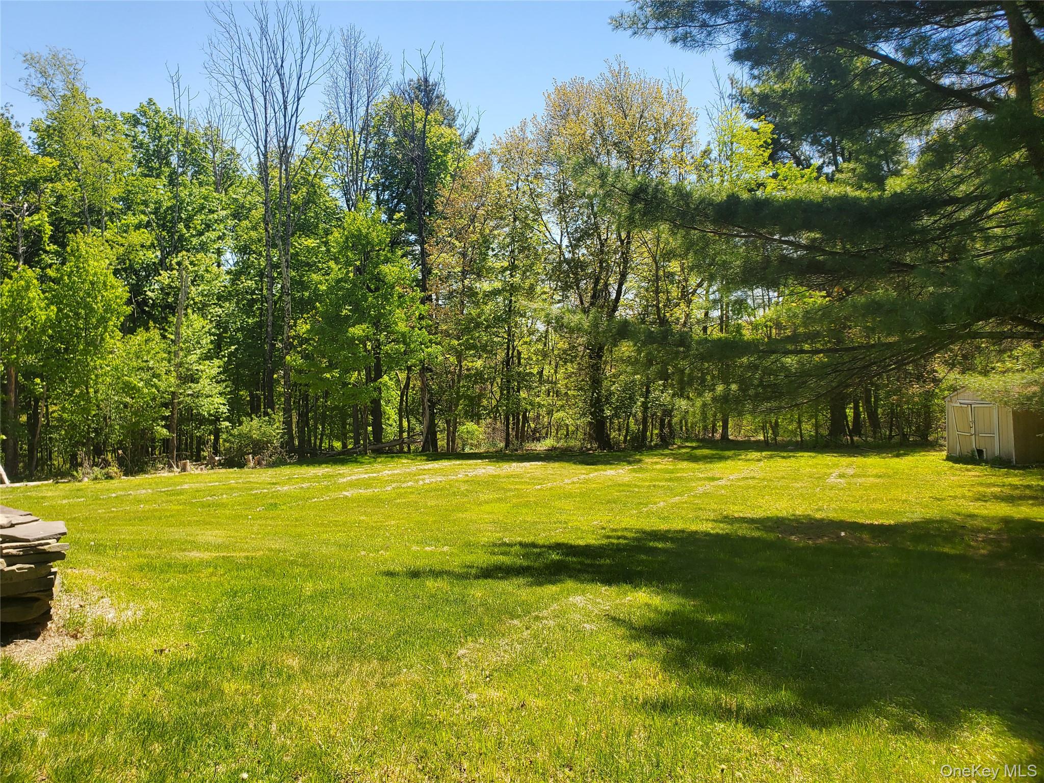 34 Plank Road Bloomingburg, NY 12721 - Photo 10 of 33
