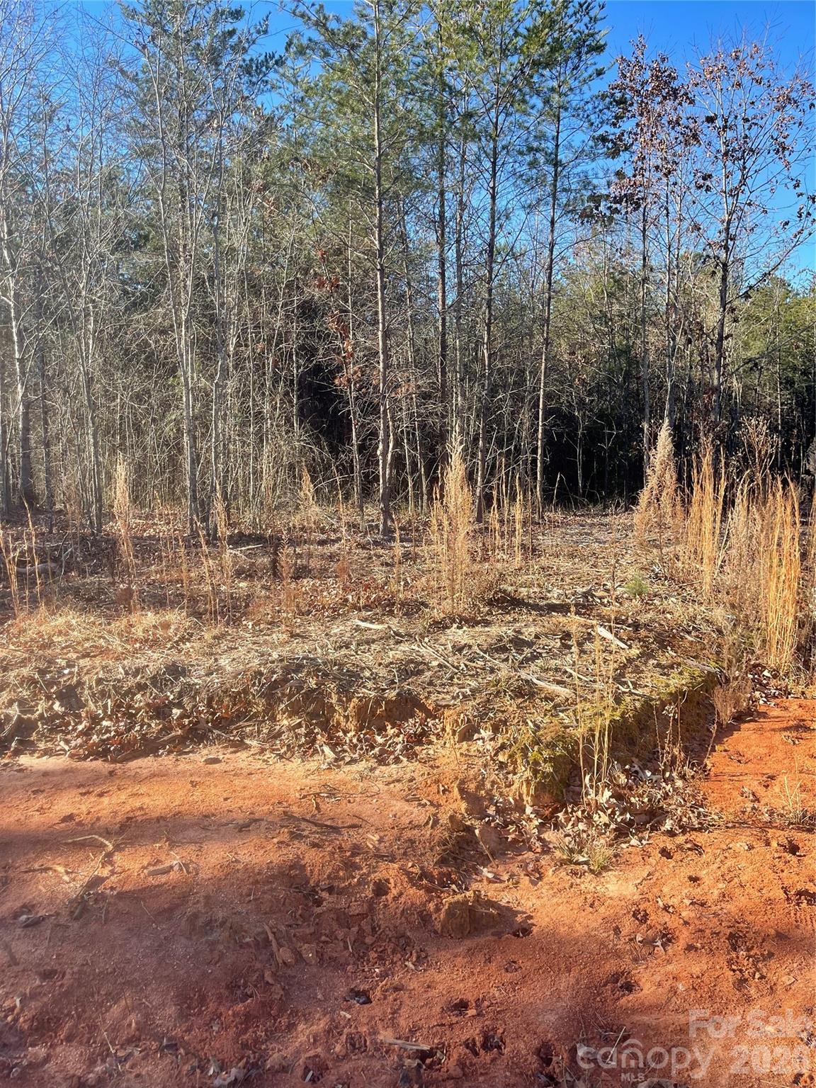 0 Springbrook Lane Mooresboro, NC 28114 - Photo 9 of 15