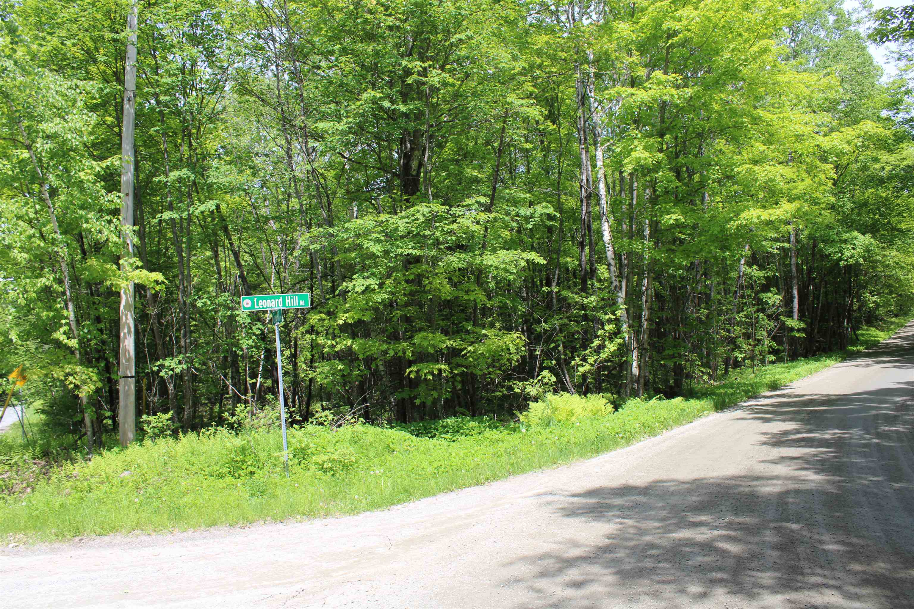 None Leonard Hill Road Concord, VT 05824 - Photo 2 of 3