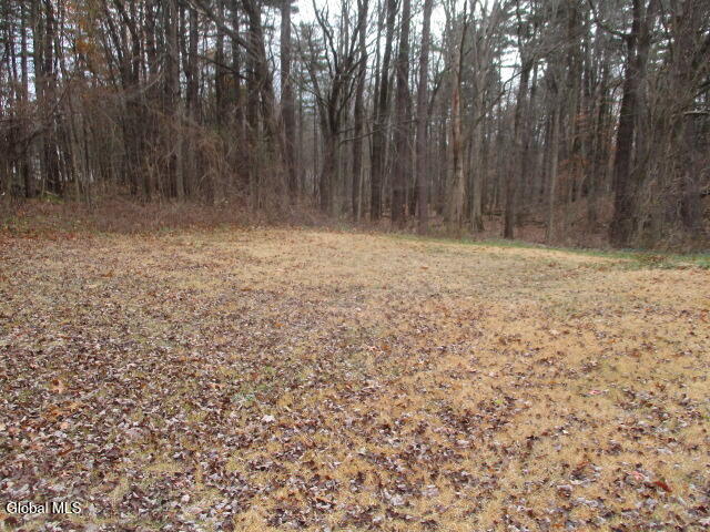 257 Lapp Road Clifton Park, NY 12065 - Photo 3 of 24 IMG_7981