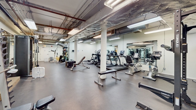 417 South Jefferson Street, Unit 209B Chicago, IL 60607 - Photo 18 of 21