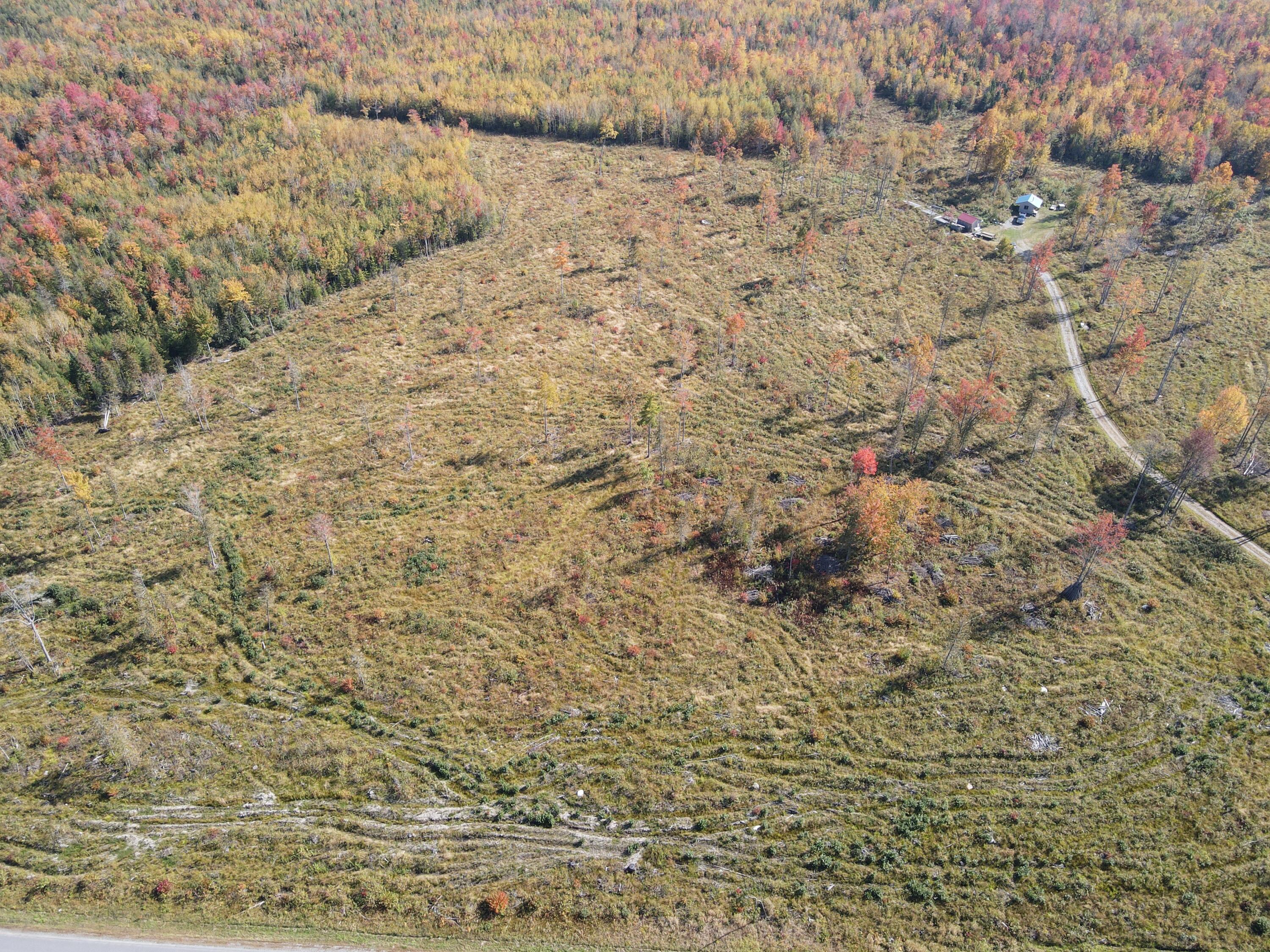 240 Higgins Road Pittsfield, ME 04967 - Photo 18 of 33 dji_fly_20231004_133150_993_169644087282