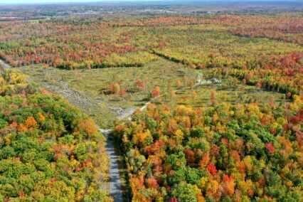 240 Higgins Road Pittsfield, ME 04967 - Photo 2 of 33 379660057_674028351340494_19325655842664