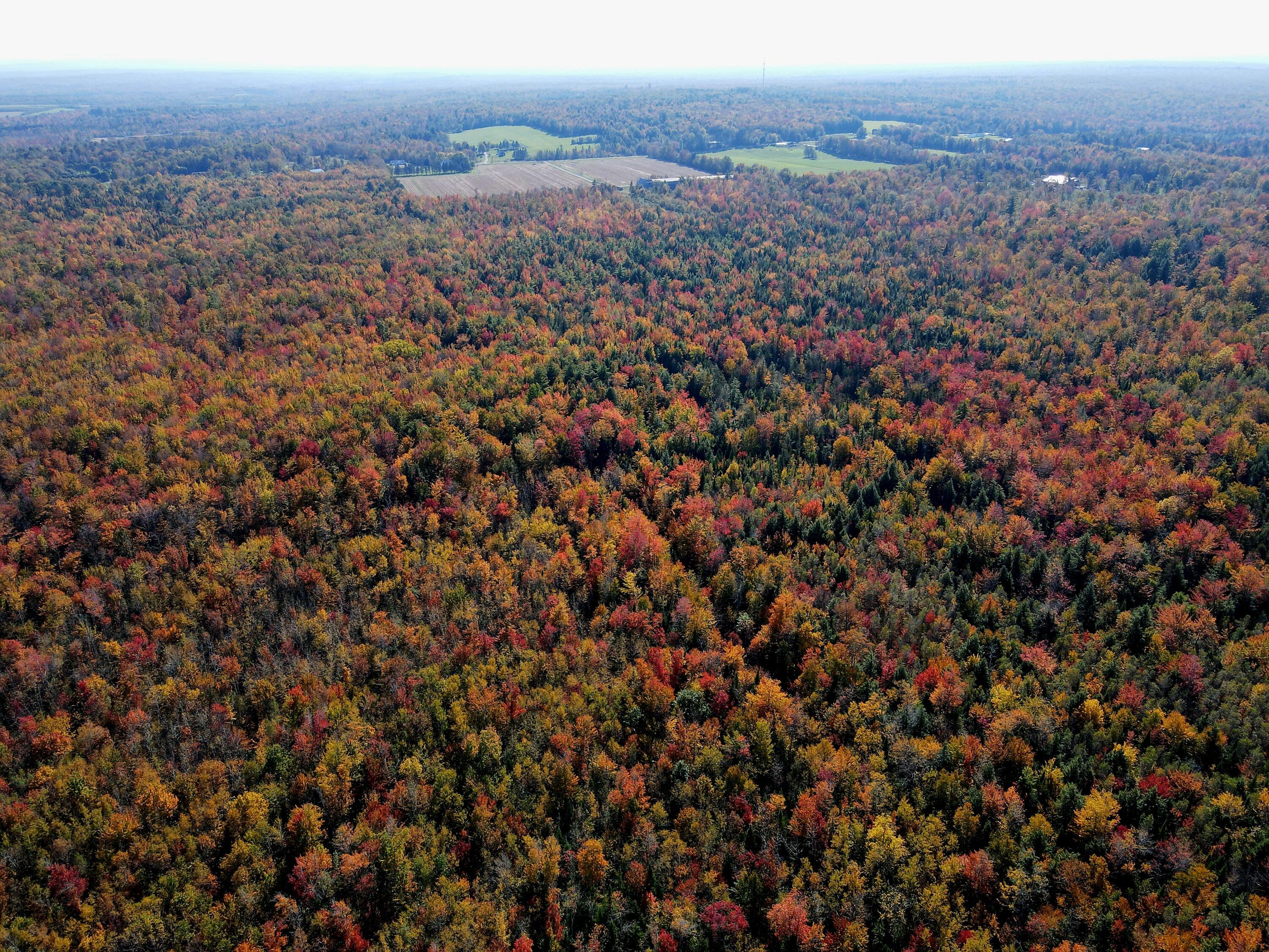 240 Higgins Road Pittsfield, ME 04967 - Photo 28 of 33 dji_fly_20231004_133318_4_1696440932441_