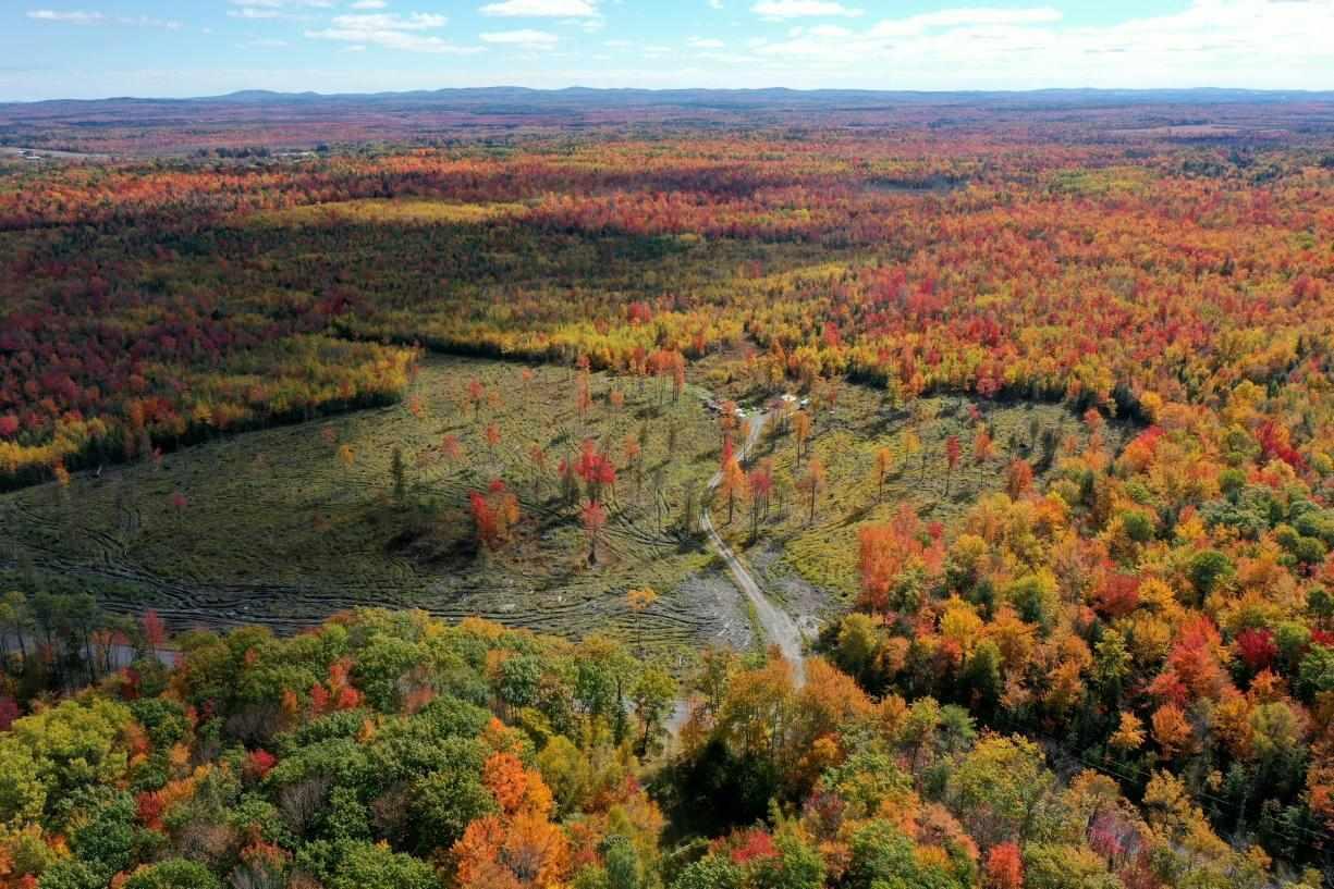 240 Higgins Road Pittsfield, ME 04967 - Photo 4 of 33 379658743_1557824384955508_5854194671321