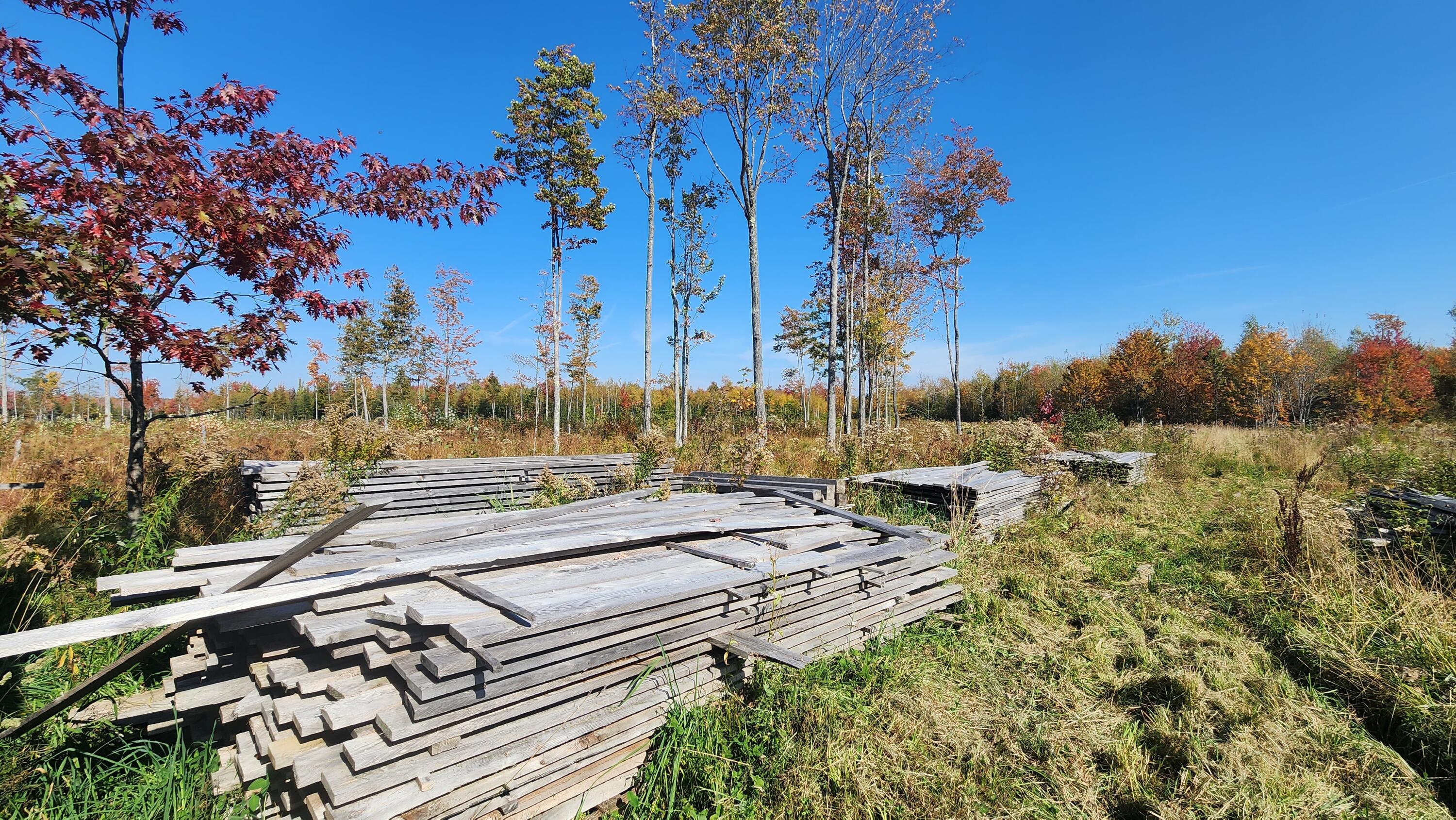 240 Higgins Road Pittsfield, ME 04967 - Photo 10 of 33 20231004_132613