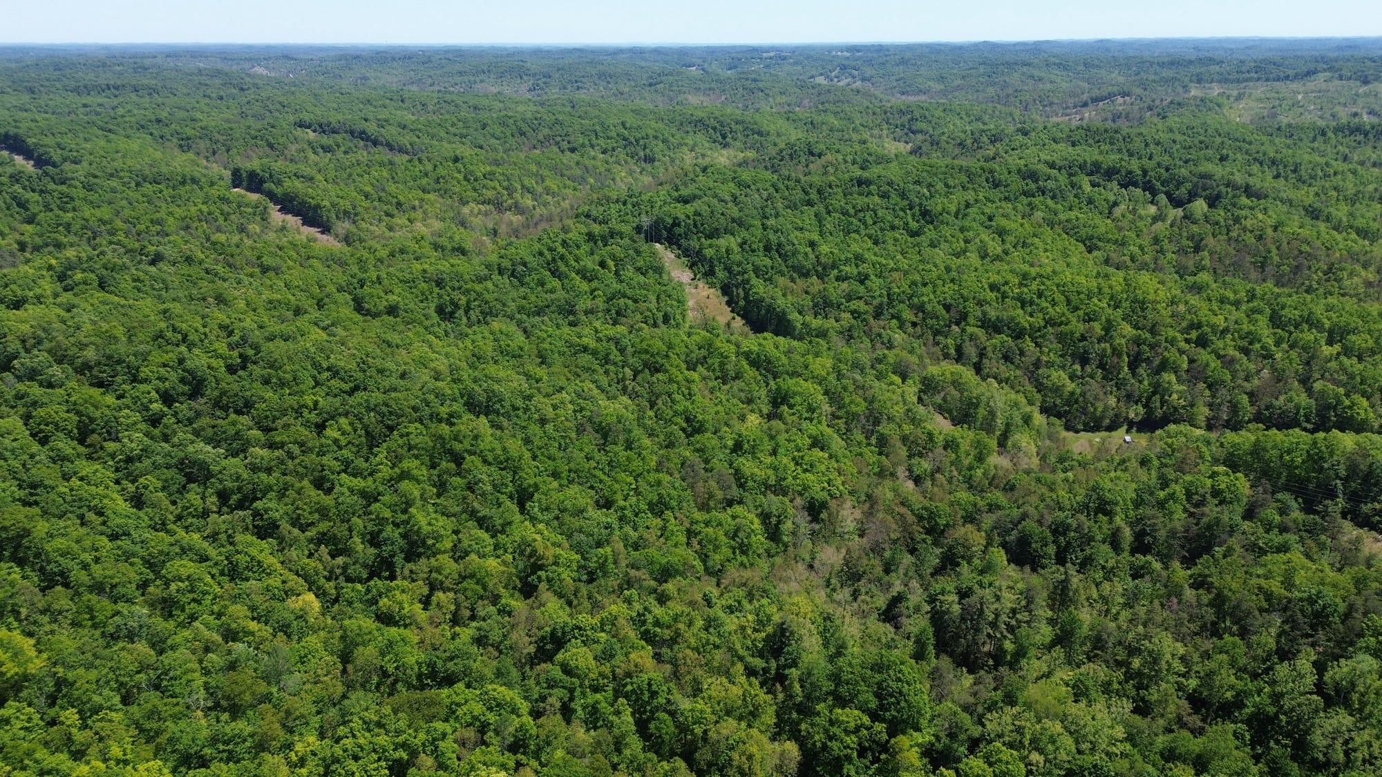 700 Clay Camp Road Hitchins, KY 41146 - Photo 101 of 108 30