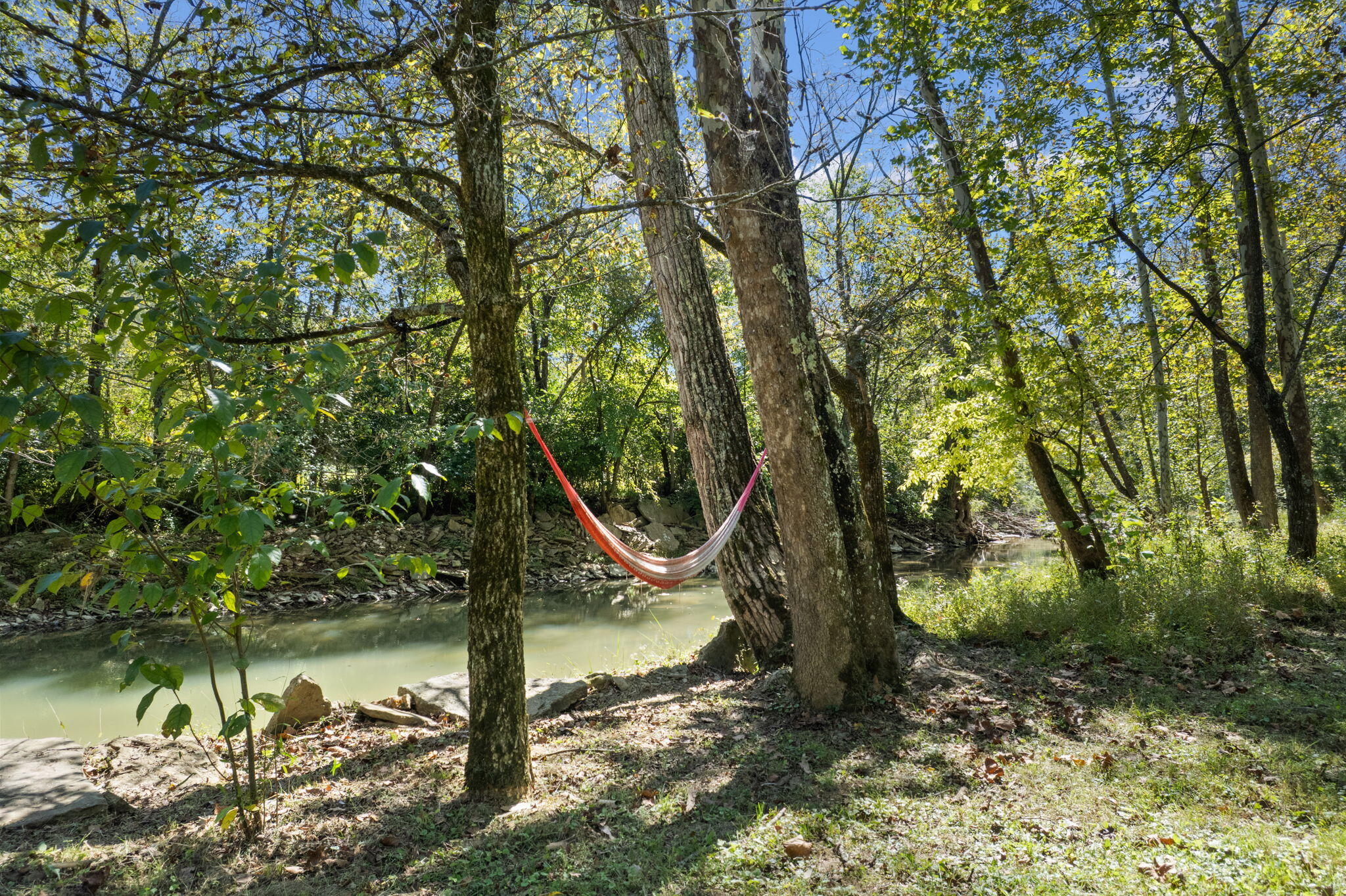 925 Lockmier Road Augusta, KY 41002 - Photo 11 of 52 Great place for a Hammock