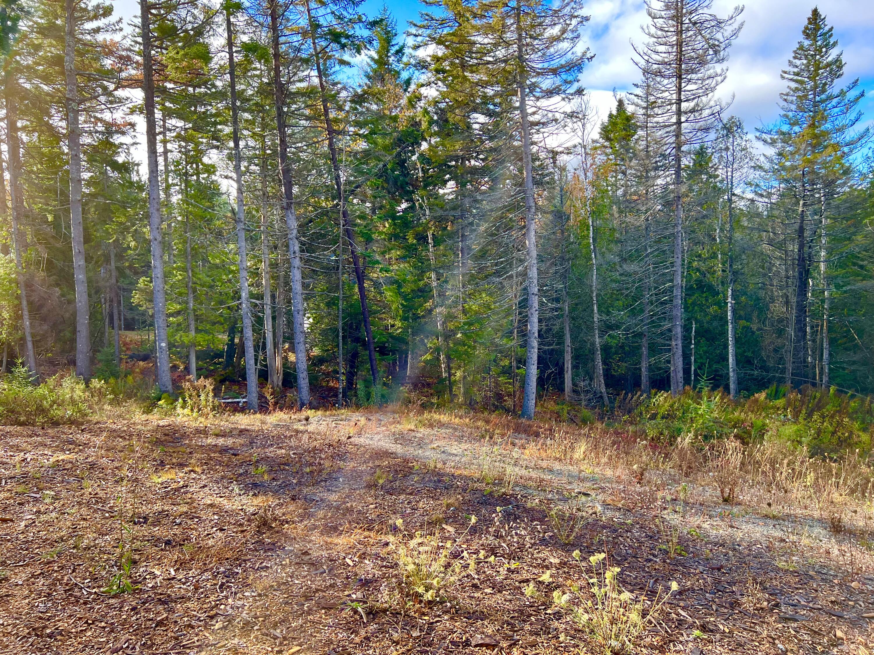 28 Mount Gilboa Way Tremont, ME 04653 - Photo 40 of 45 Land