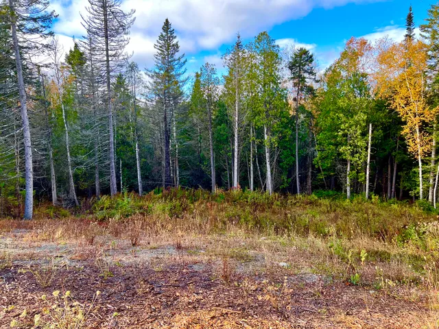 $585,000 | 28 Mount Gilboa Way, Tremont, ME 04653